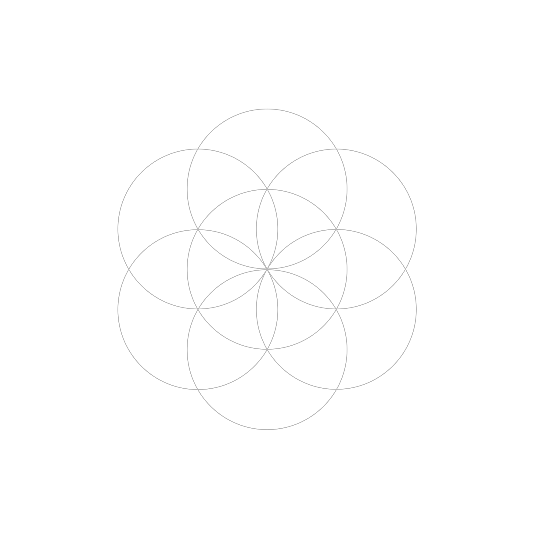 A Seed of Life pattern drawn in light grey lines