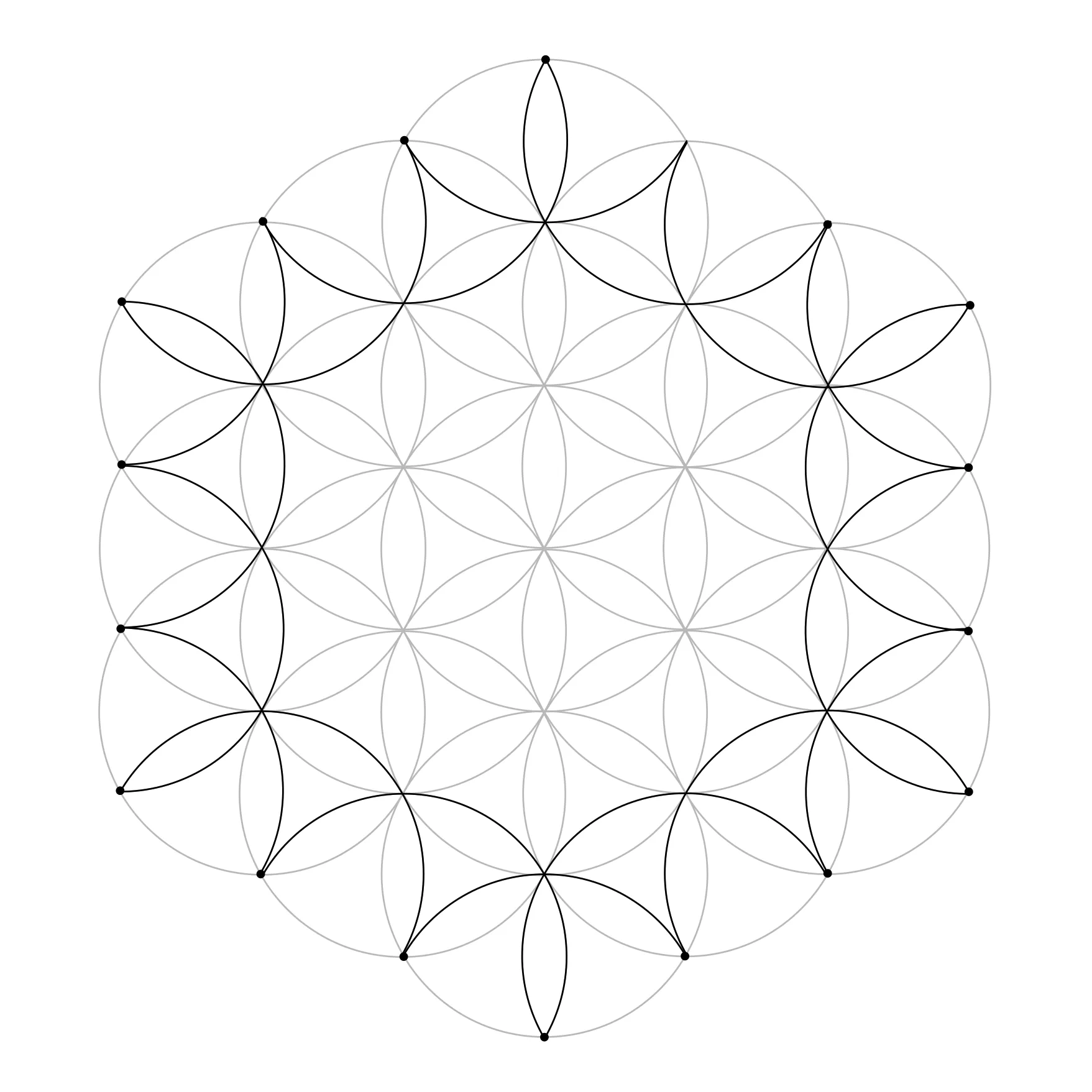 The outer petal shapes of the Flower of Life completed