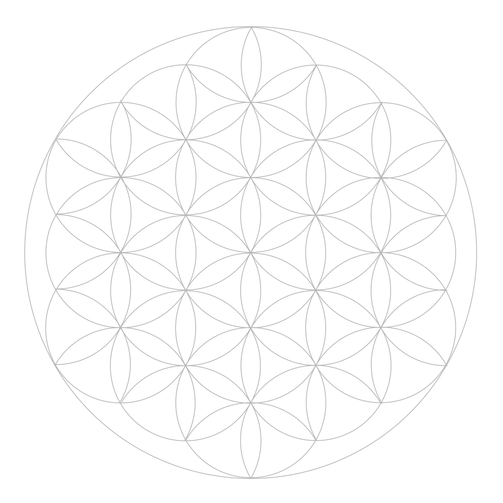 The completed Flower of Life construction