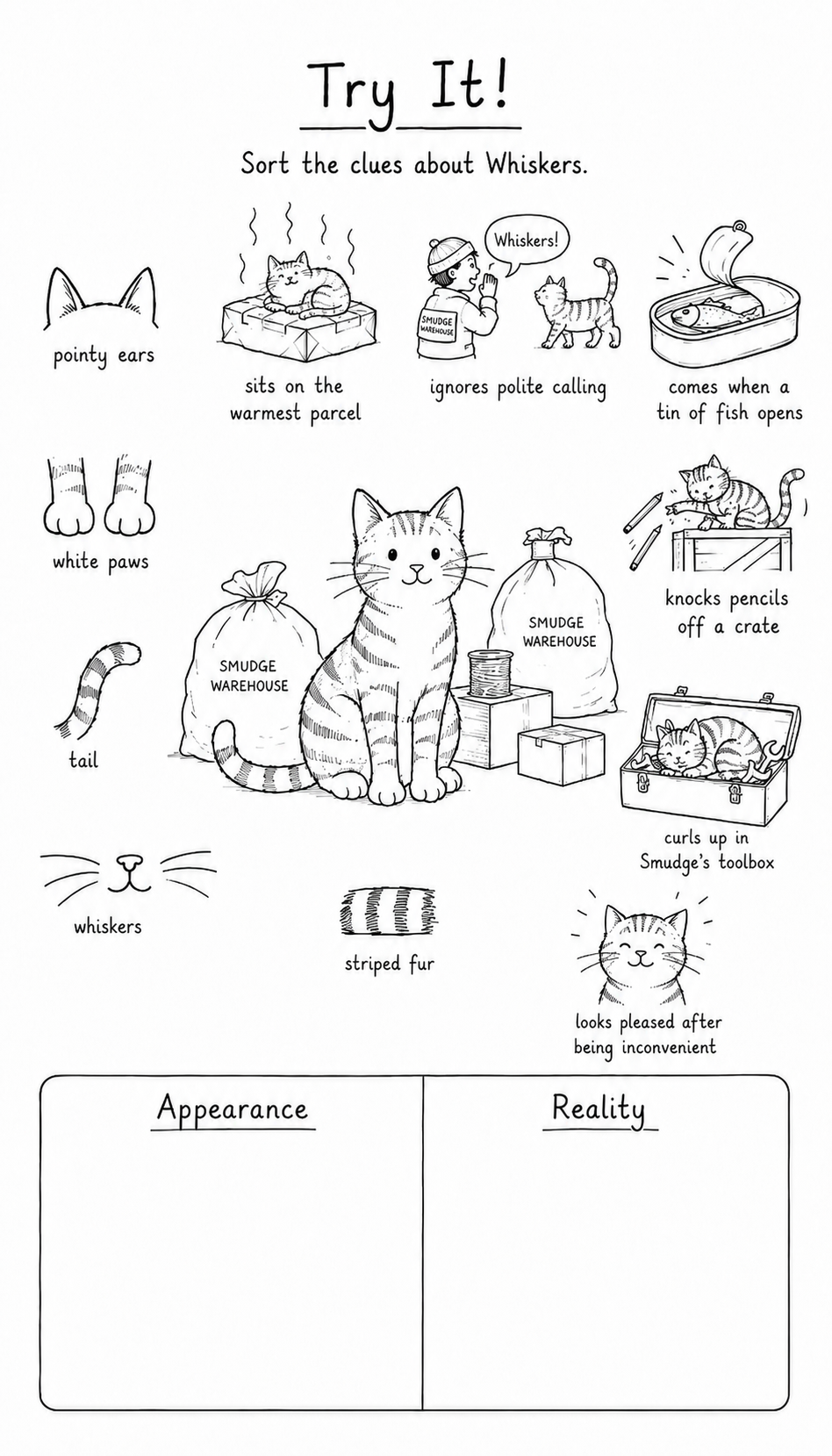 Whiskers clues to sort into appearance and evidence groups