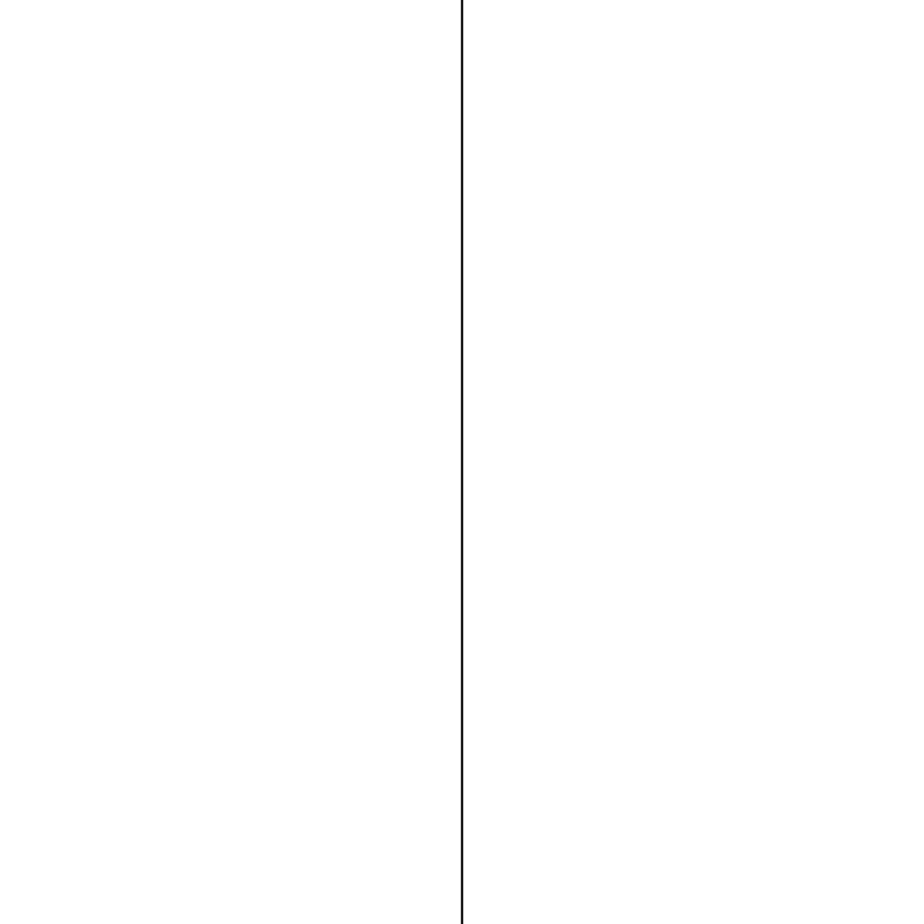 A vertical guide line drawn on a blank page