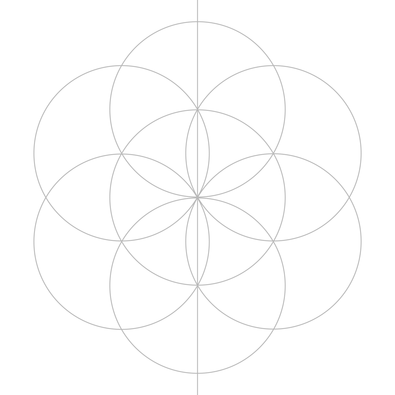 The completed Seed of Life construction